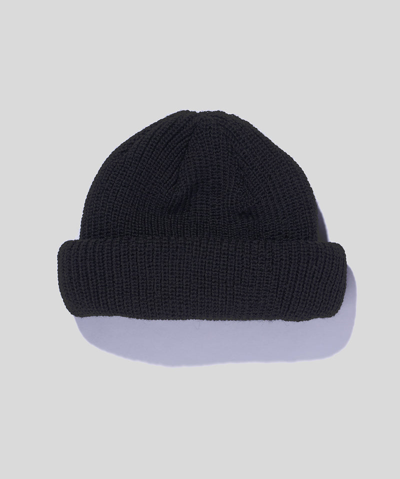 Roll Knit Beanie