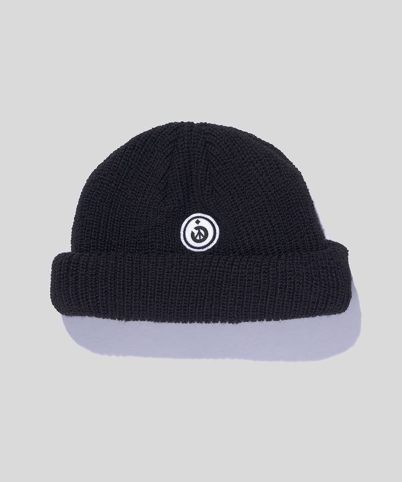 Roll Knit Beanie