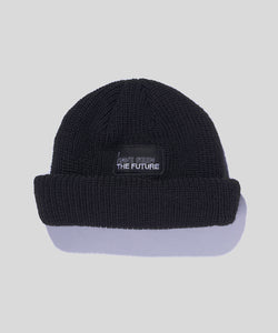 Roll Knit Beanie