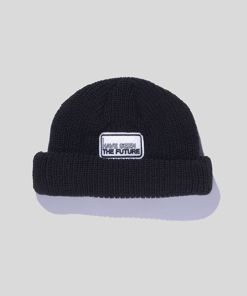 Roll Knit Beanie